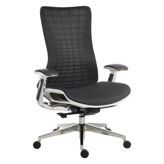 Quantum - Executive Mesh Chair.