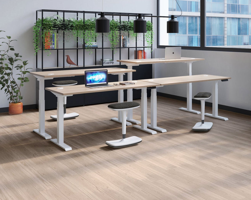 Economy Sit Stand Desk - White Frame